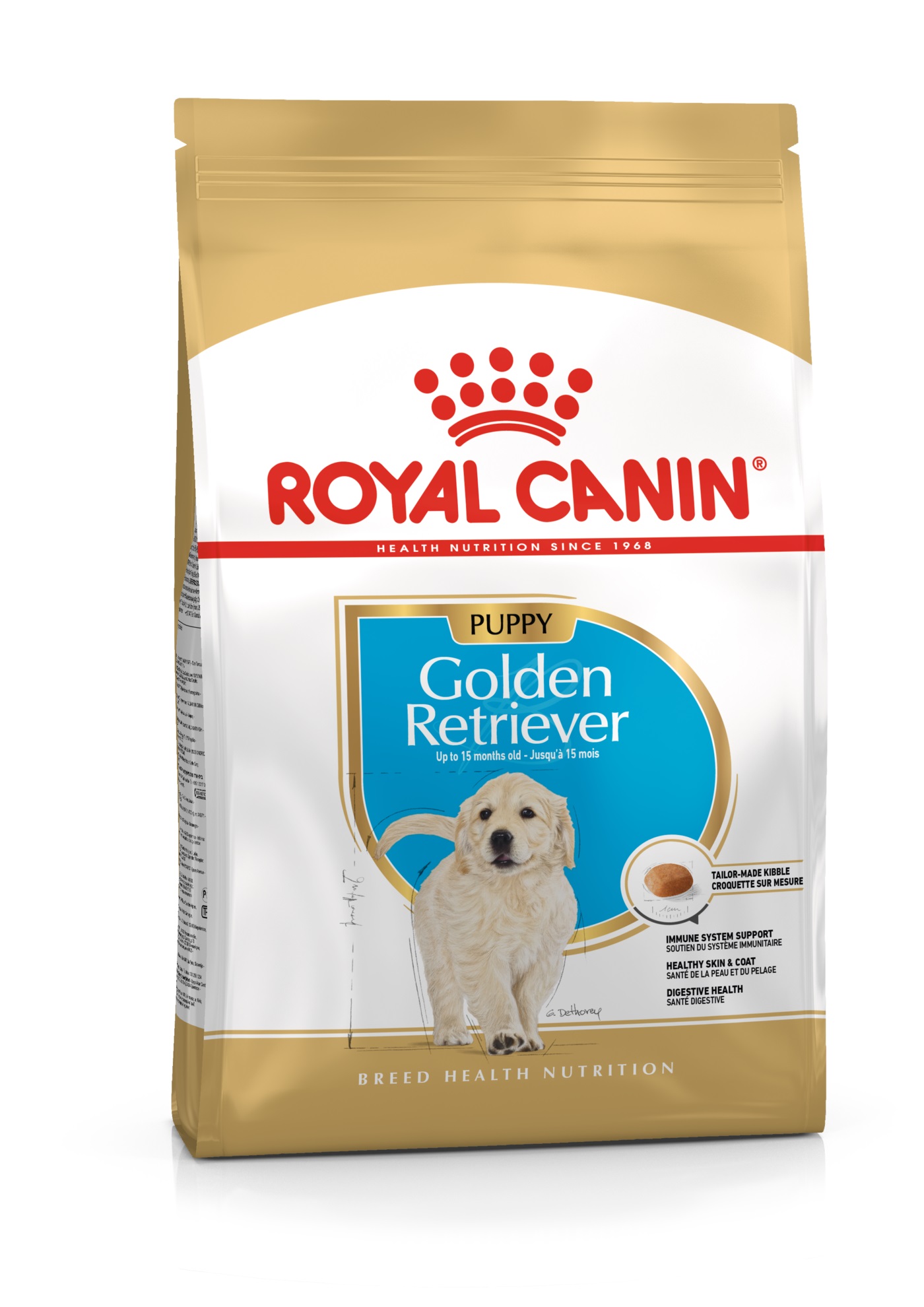 BHN GOLDEN RETRIEVER PUPPY12KG