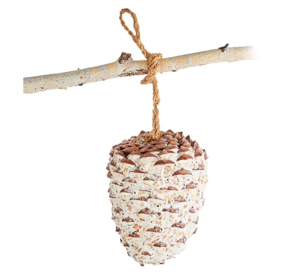 EMMA'S GARDEN UCCELLI SELVATICI SNACK PIGNA GIGANTE (1 PZ) 330 GR