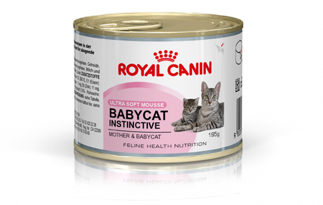 FELINE HN BABYCAT INSTI 10 195