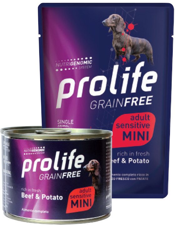 PROLIFE DOG GF AD BEEF&POT100G