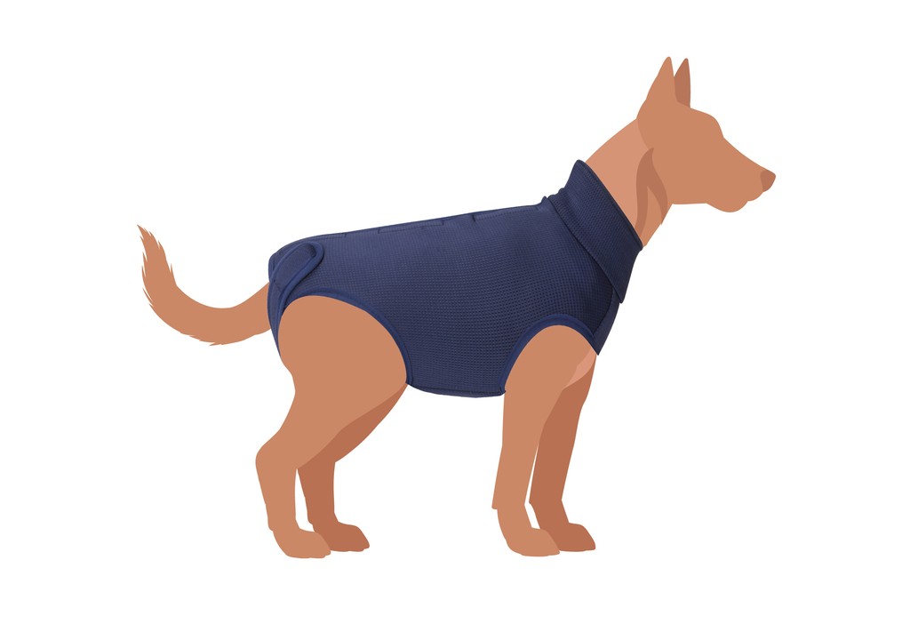 CAMON CANE TUTINA POST OPERATORIA "EXCLUSIVE" TG. 30 BLU