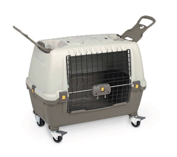 LEOPET SKUDO CAR 100