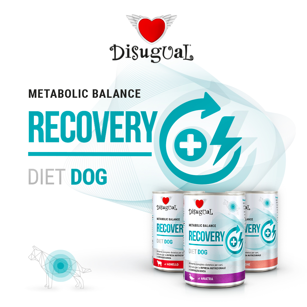 DISUGUAL CANE DIET RECOVERY SOGLIOLA 400 GR