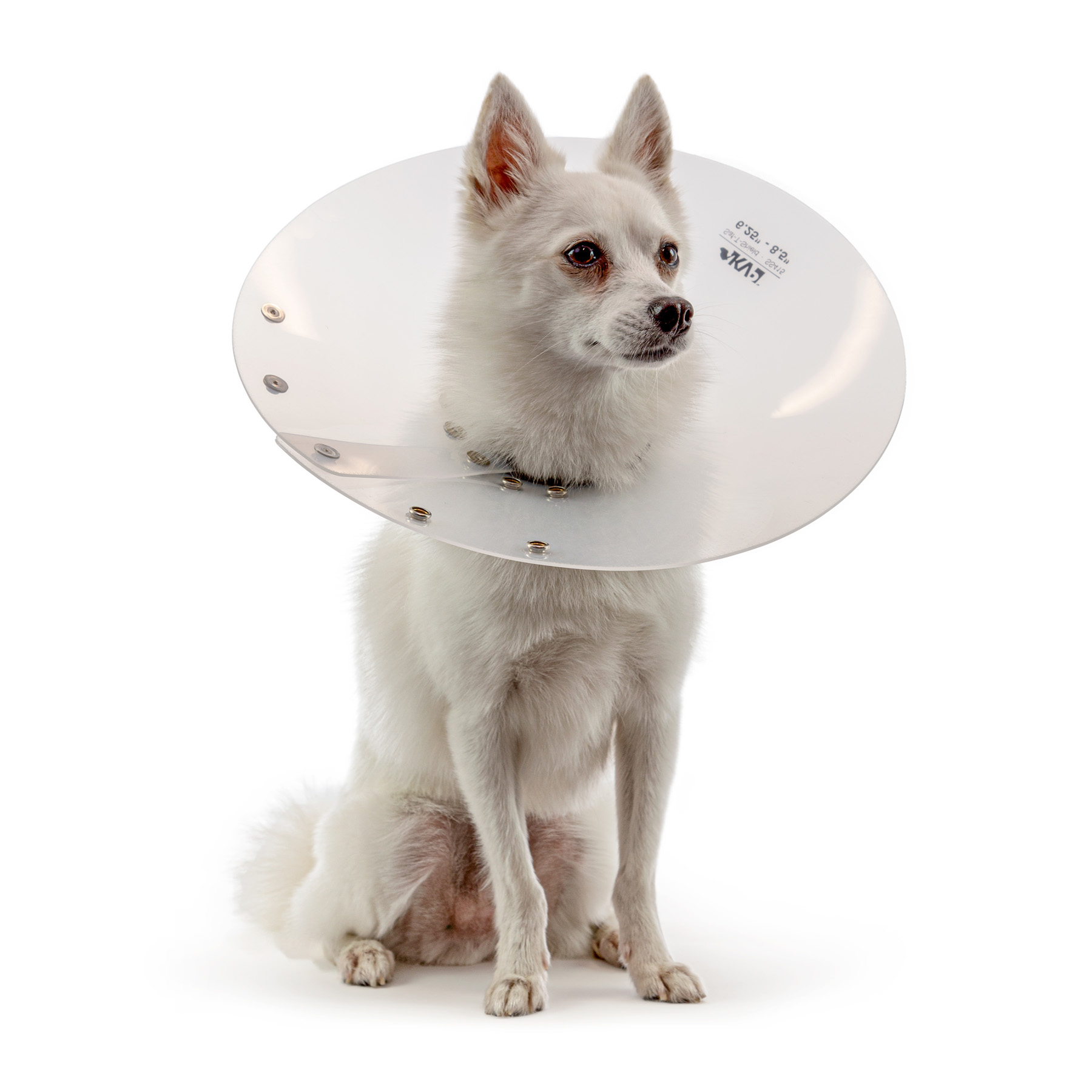 KVP COLLARE ELISABETTIANO SAF-T-SHIELD 27-36 CM