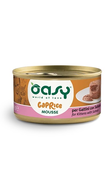 OASY WET CAT C MOUSSE KITT SAL