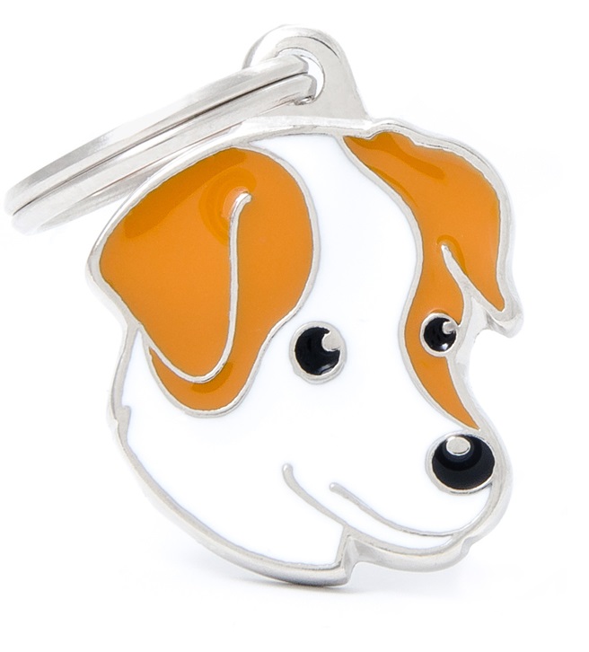 WHITE AND BROWN JACK RUSSELL