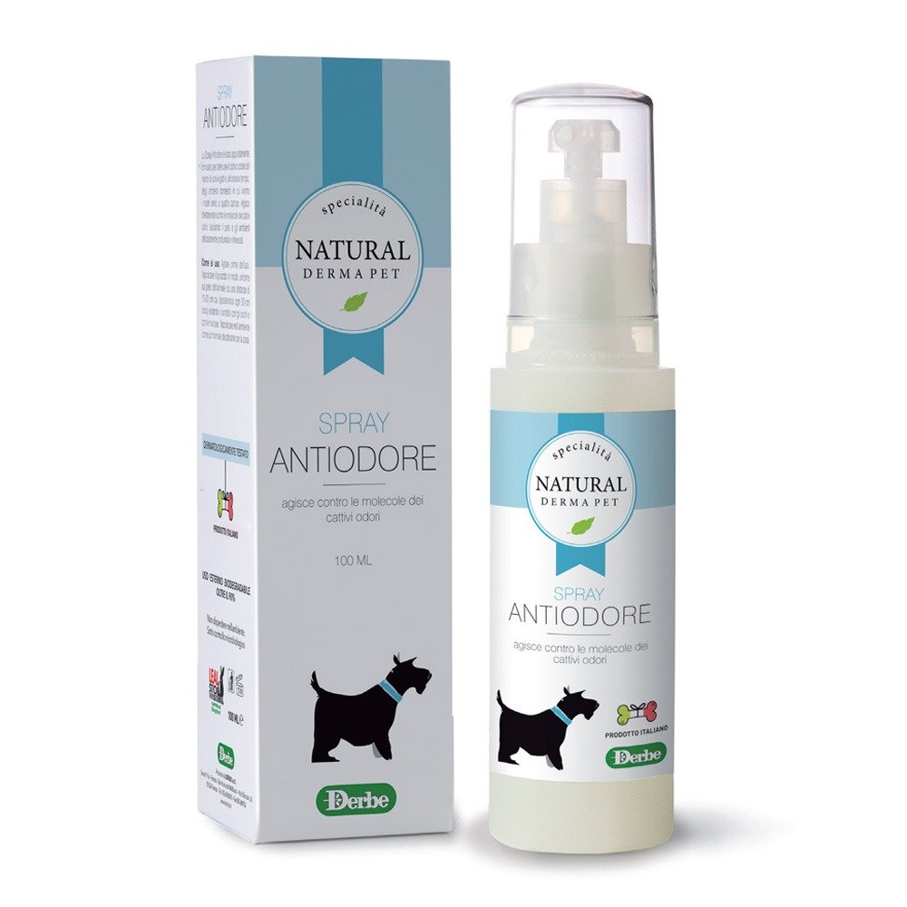 SPRAY ANTIODORE 100ML