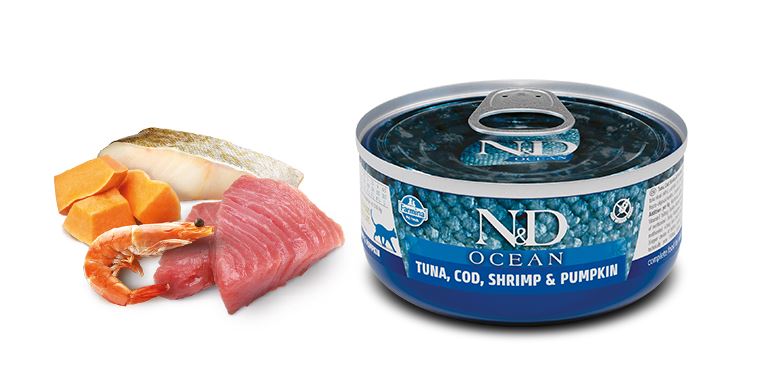 N&D CAT OCEAN TUNA&C&S&P 70G