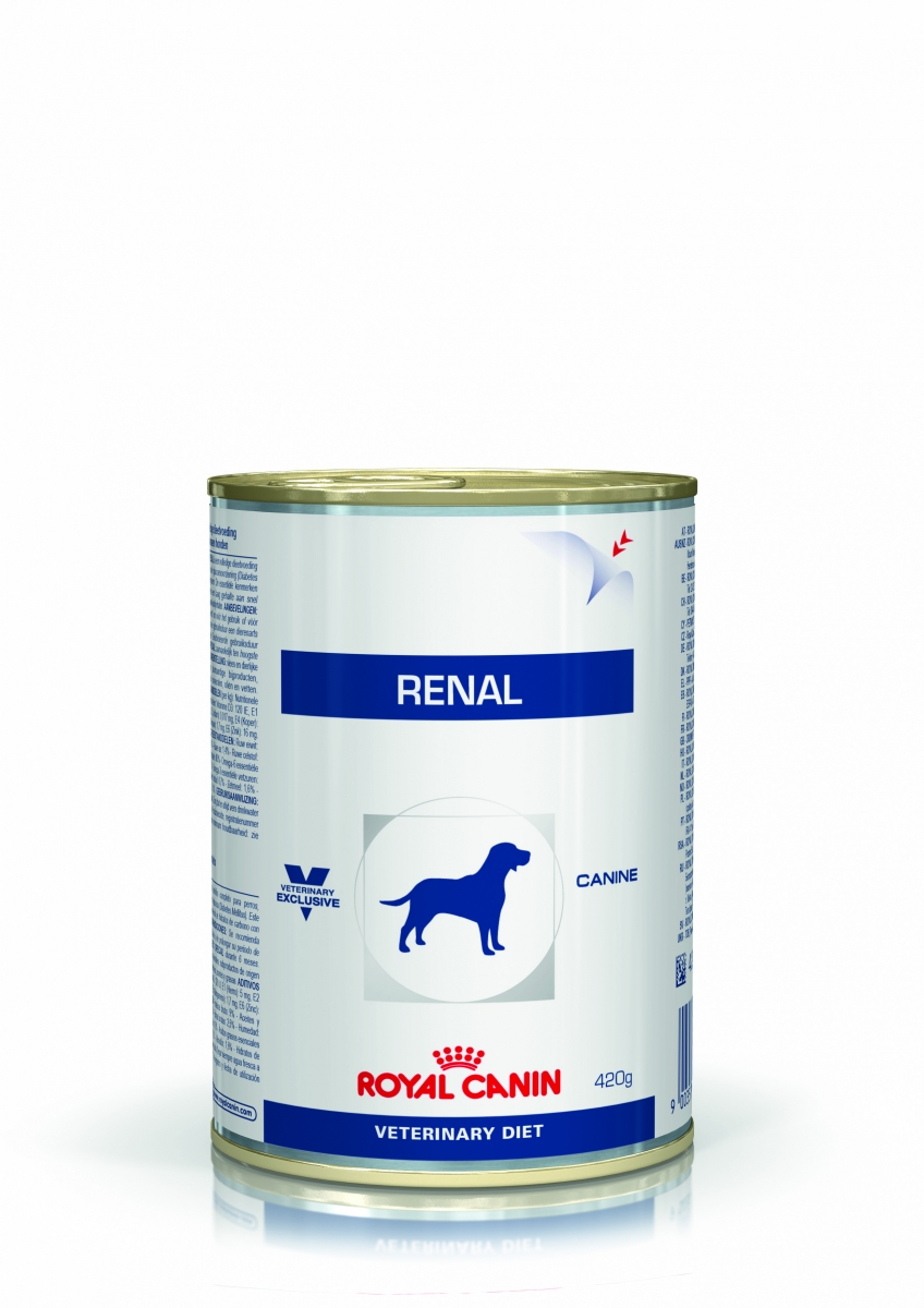 VHN WET DOG RENAL 410G