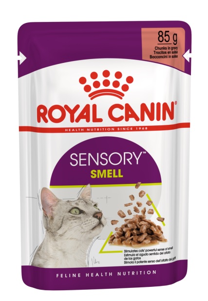 FHN WET SENSORY SMELL 85G
