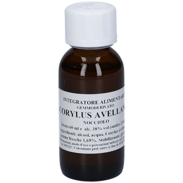 CORYLUS AVELLANA 60ML MG