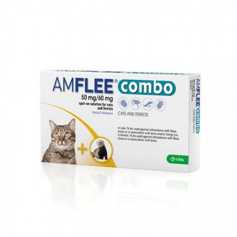 AMFLEE COMBO*1 PIP 50MG+60MG