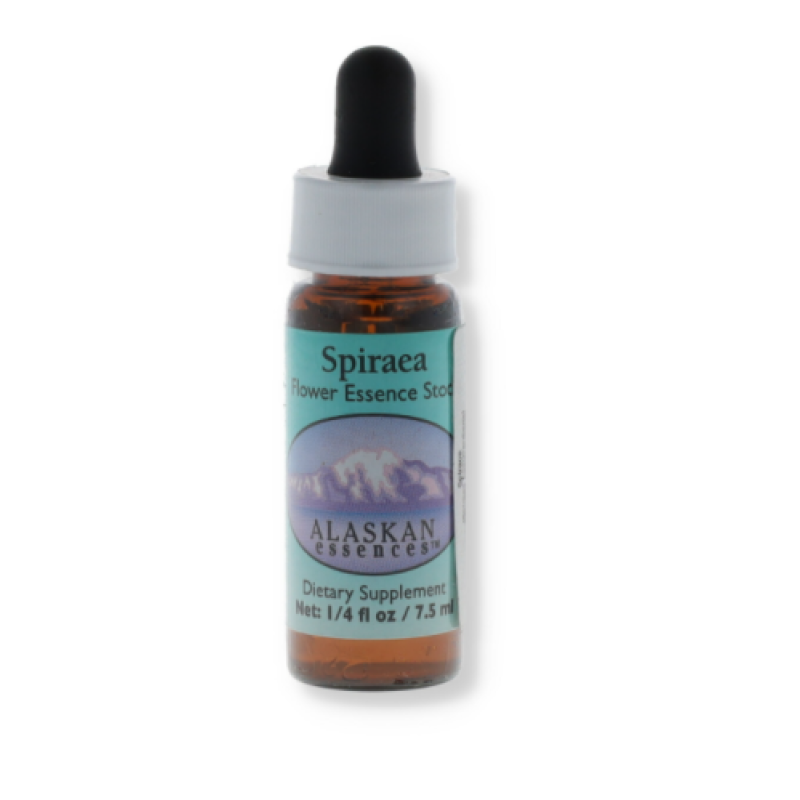 Spirea Flower Essence Stock ALASKA 7,4ml