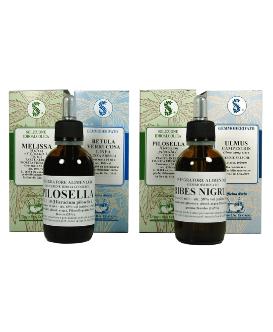 ALNUS GLUTINOSA 60ML MG SARAN