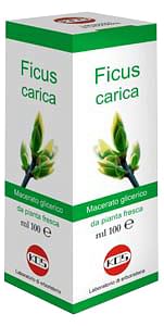 Ficus Carica Mg 100 Ml Gocce