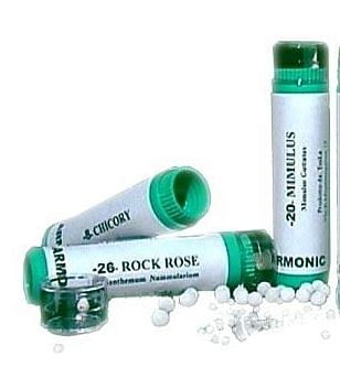 Armonic 15 Holly 70gr