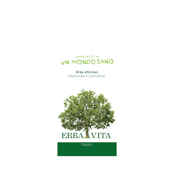 Chia Semi 100g Erbavita