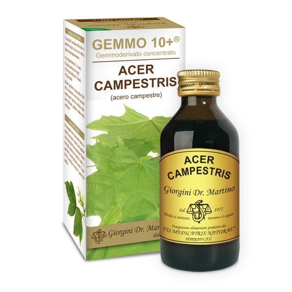 Acero Campestre 100ml Analcolico Gemmo 10+ Giorgini