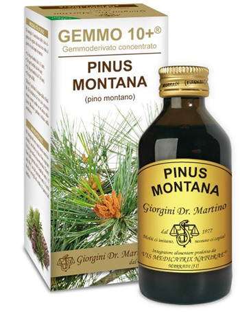 Pinus Montana Gemmo 10+ 100ml Giorgini