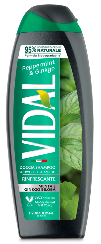 VIDAL NEW D/S MINT & GINKGO 250ML