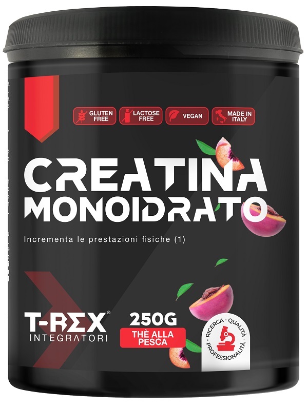 T-REX CREATINA MONO THE PE250G