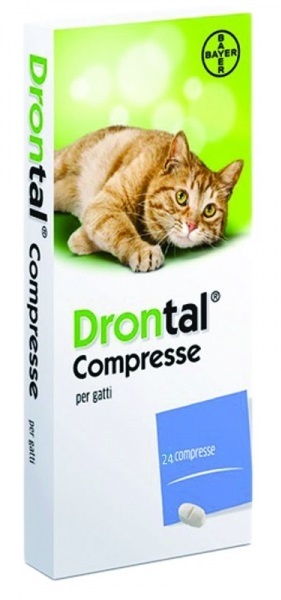 DRONTAL*24CPR GATTO