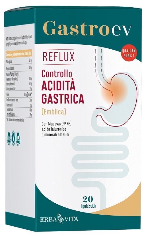 Gastro Ev Reflux 20 Liquid Stick 12ml