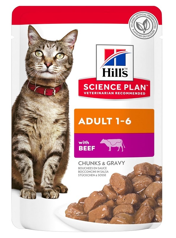 SP FELINE ADULT BEEF 85G