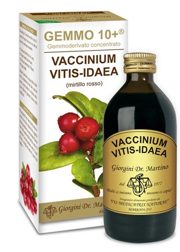 MIRTILLO ROSSO LIQUIDO ANALCOLICO GEMMO 10+ GIORGINI