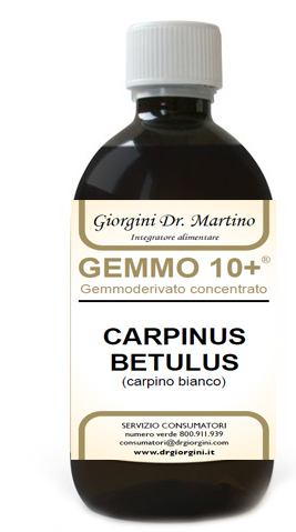 Carpino Gemmo 10+ Analcolico 500ml Giorgini
