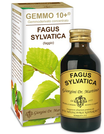 Faggio 100ml Analcolico Gemmo 10+ Giorgini