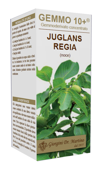 Noce 100ml Analcolico Gemmo 10+ Giorgini