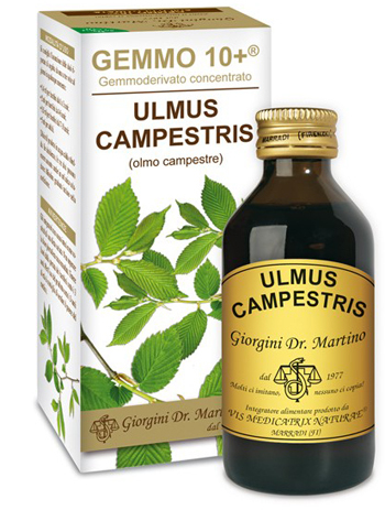 OLMO CAMPESTRE 100ML ANALCOLICO GEMMO 10+ GIORGINI